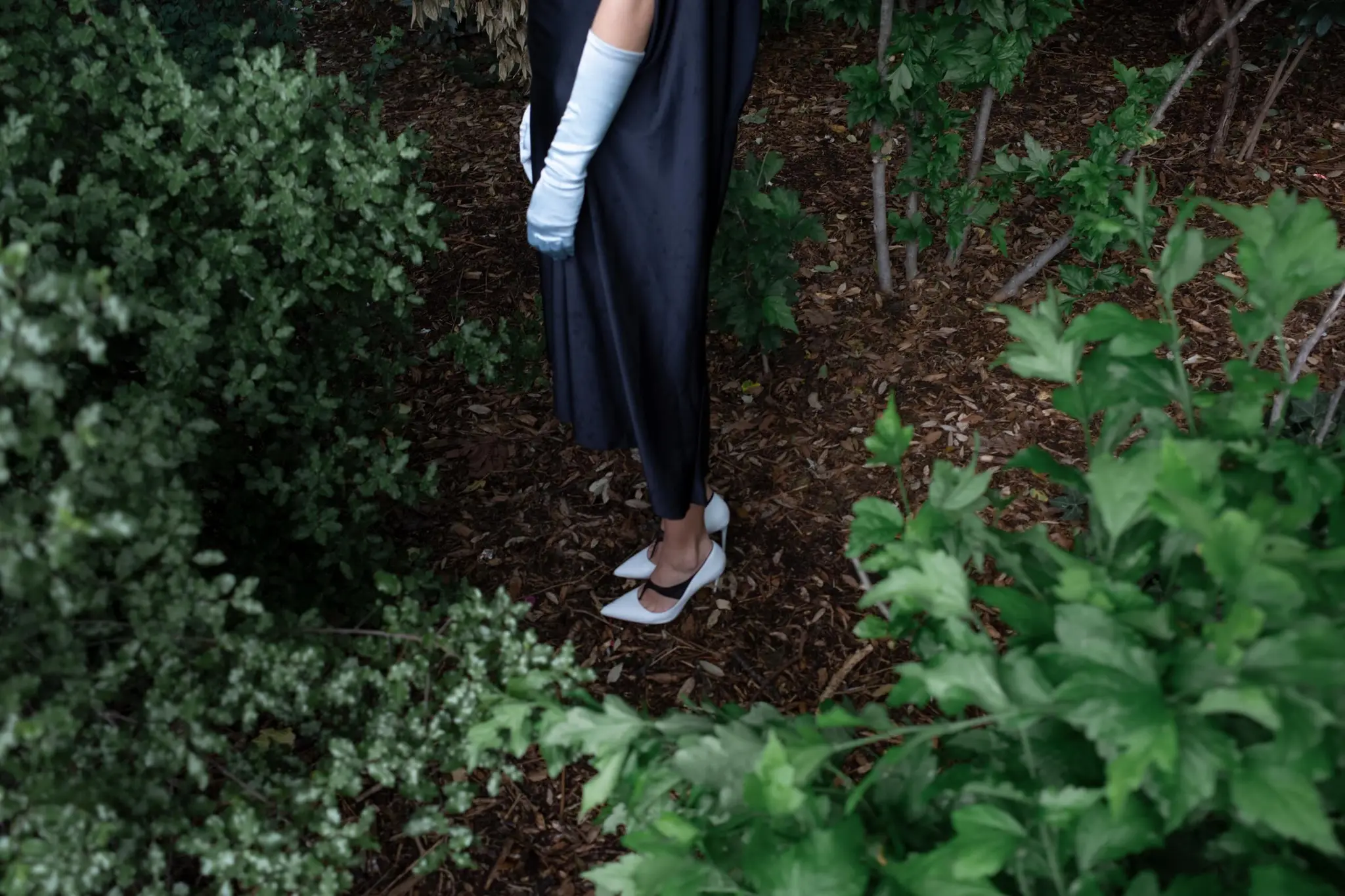 Overhead view of a figure standing in dense green undergrowth in a black satin dress, a pale blue opera glove and white slingback heels.